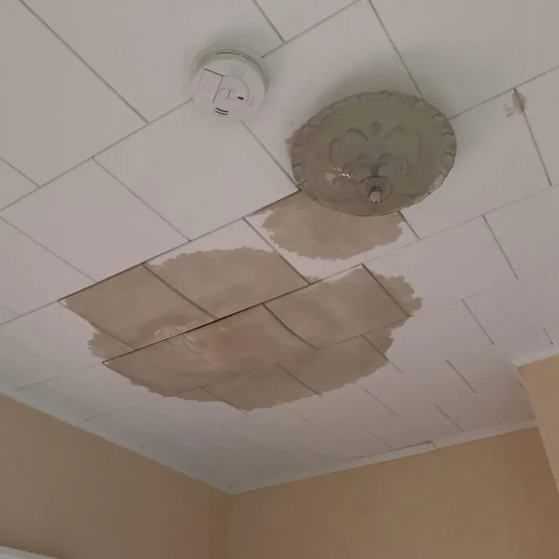 Ceiling Water Damage Repair in Cambridge City, IN