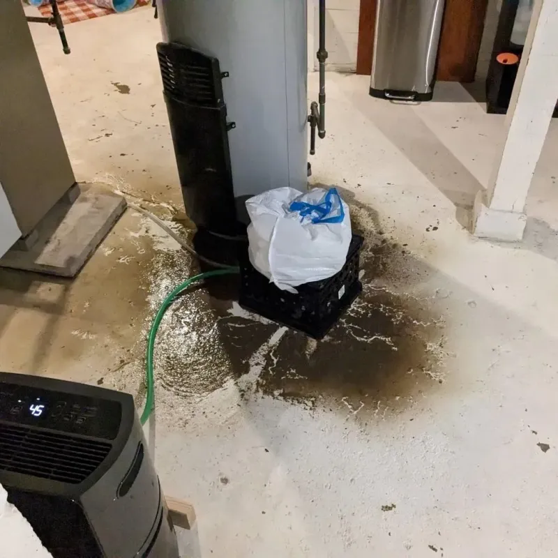 Sewage Backup Cleanup Service in Cambridge City, IN